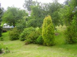 Resize of P8190013.JPG